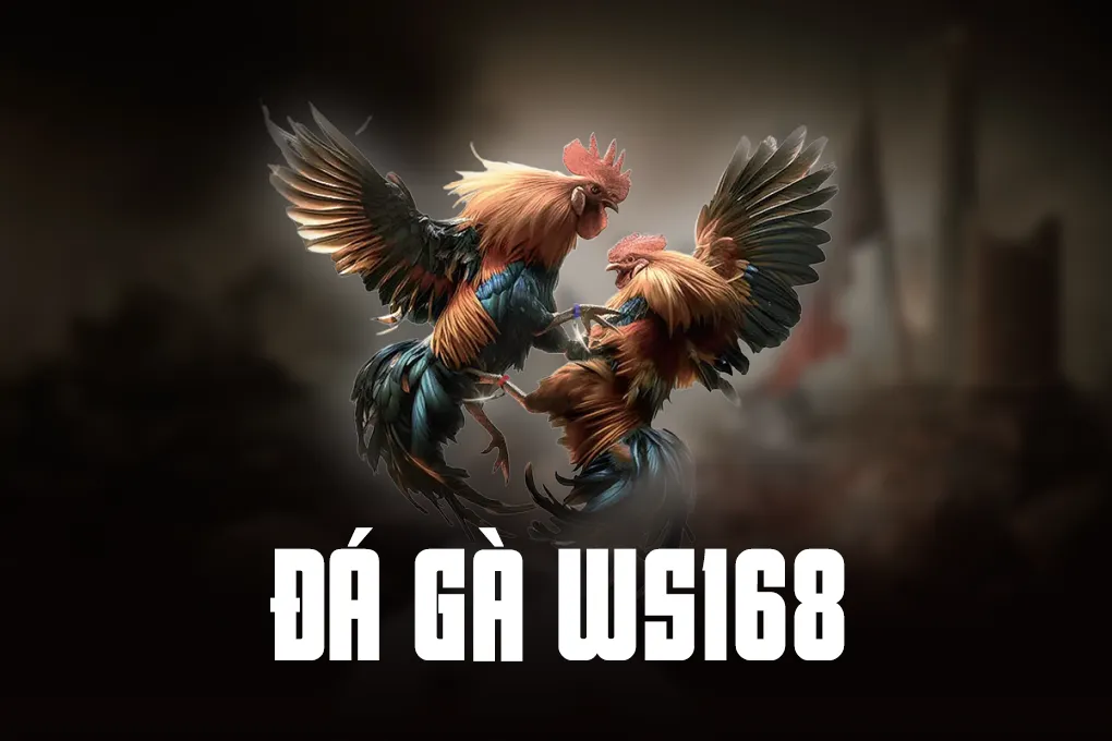 Đá Gà WS168
